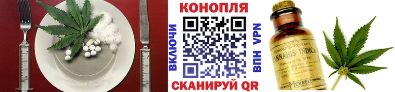 omg как войти  цена   Гусев  Cannafood марихуана 