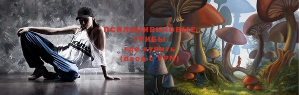 прущая мука Ельня