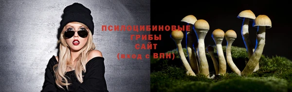 МДПВ Елабуга