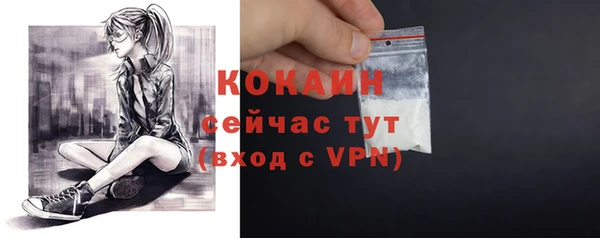 прущая мука Ельня