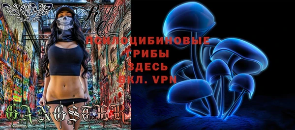 прущая мука Ельня