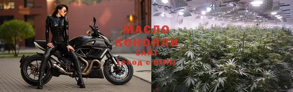 прущая мука Ельня