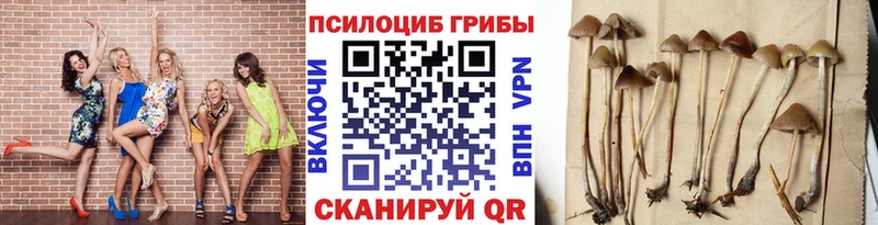 хочу   Гусев  Псилоцибиновые грибы мухоморы 