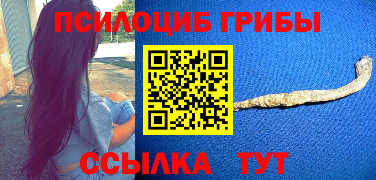 Галлюциногенные грибы Psilocybe Гусев