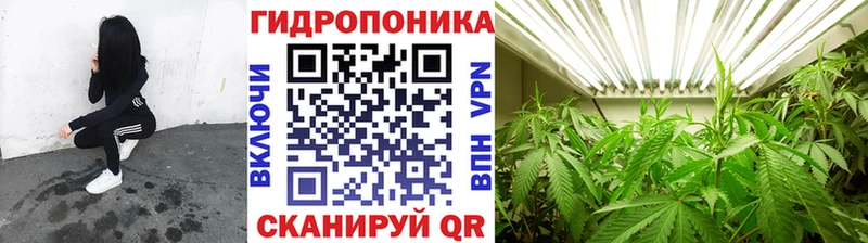 Бошки марихуана AK-47  Гусев 